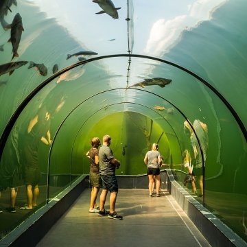 Lebendiges Wasser Modrá