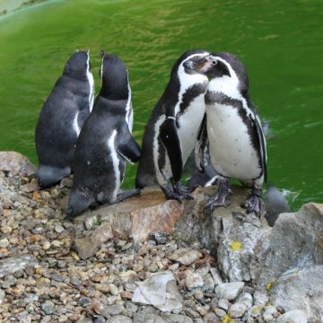 Zoo Zlín